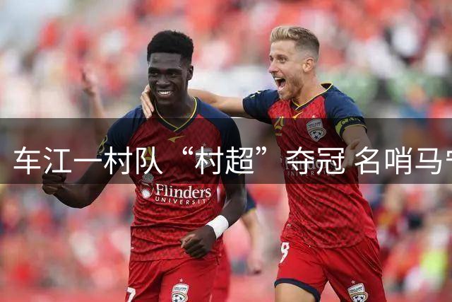 车江一村队“村超”夺冠 名哨马宁现场助阵
